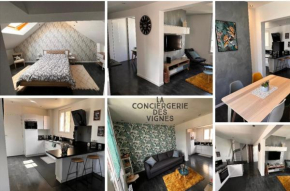Fauvette Spacieux duplex Hyper Centre Epernay
